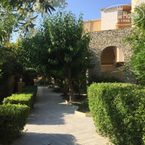 фото из отзыва ID 1999214