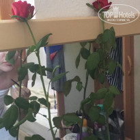 фото из отзыва ID 1999318