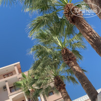 фото из отзыва ID 1999337