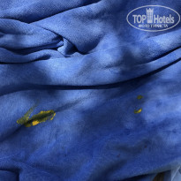 фото из отзыва ID 1999378