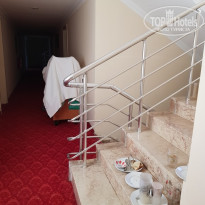 фото из отзыва ID 1999435