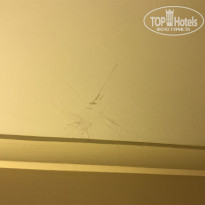 фото из отзыва ID 1999498