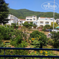 фото из отзыва ID 1999574