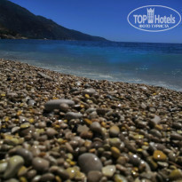 фото из отзыва ID 1999675