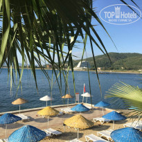 фото из отзыва ID 1998804