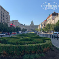 фото из отзыва ID 1999721