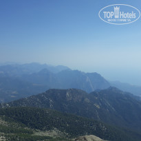 фото из отзыва ID 1999784