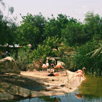 фото из отзыва ID 1999724