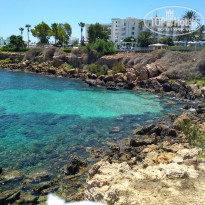 фото из отзыва ID 1999939