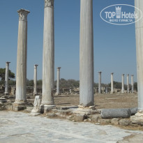 фото из отзыва ID 1999911