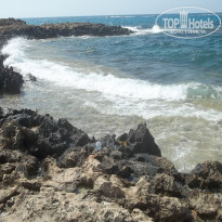 фото из отзыва ID 1999911