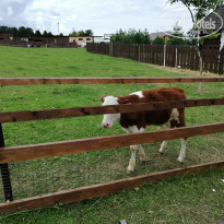 фото из отзыва ID 1999204