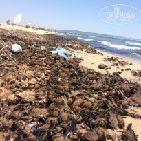 фото из отзыва ID 1995311