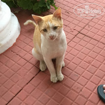 фото из отзыва ID 1998385