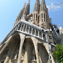 фото из отзыва ID 1999100