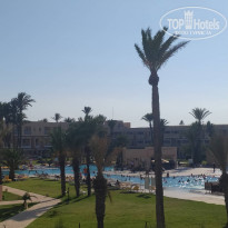 фото из отзыва ID 1995524