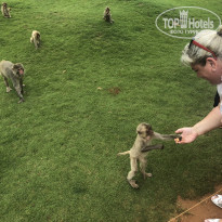 фото из отзыва ID 1998333