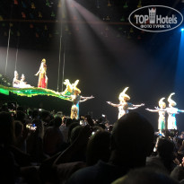 фото из отзыва ID 1998333