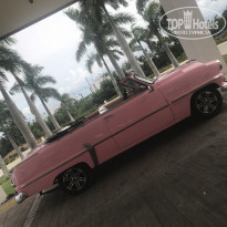 фото из отзыва ID 1993691