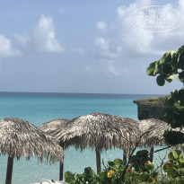 фото из отзыва ID 1993691