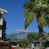 фото из отзыва ID 1998853