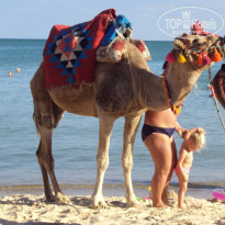 фото из отзыва ID 1996187