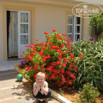 фото из отзыва ID 200204