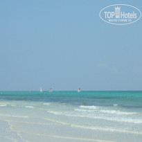 фото из отзыва ID 200946