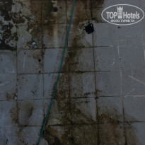 фото из отзыва ID 2000024