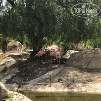 фото из отзыва ID 2000052