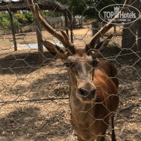 фото из отзыва ID 2000052