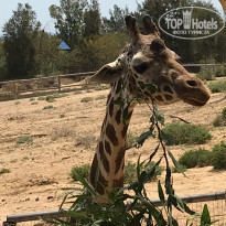 фото из отзыва ID 2000052