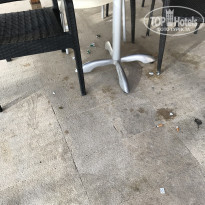 фото из отзыва ID 2000052