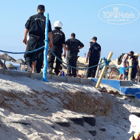 фото из отзыва ID 2000105