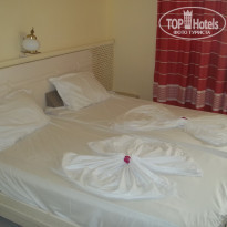 фото из отзыва ID 2000039