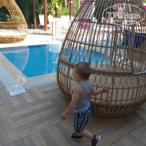 фото из отзыва ID 2000317