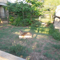 фото из отзыва ID 2000327