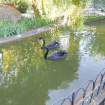 фото из отзыва ID 2000327