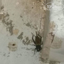 фото из отзыва ID 2000346