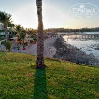 фото из отзыва ID 2000515