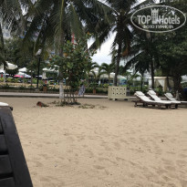 фото из отзыва ID 2000544