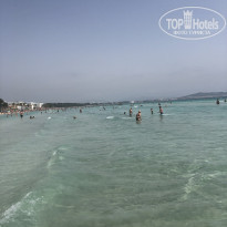 фото из отзыва ID 2000642