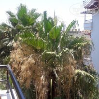 фото из отзыва ID 2000988