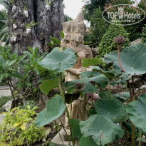 фото из отзыва ID 2000947