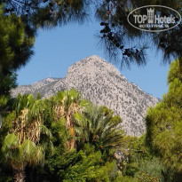 фото из отзыва ID 2001006