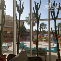 фото из отзыва ID 2001012