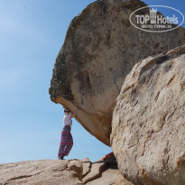 фото из отзыва ID 2001044