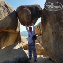 фото из отзыва ID 2001044