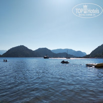 фото из отзыва ID 2001058