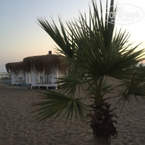 фото из отзыва ID 2001078